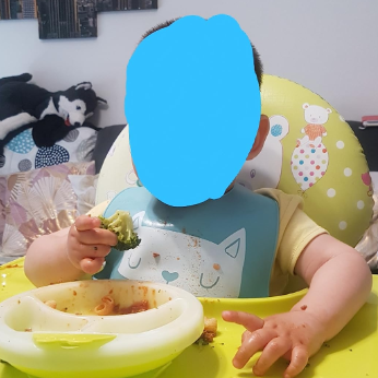 Child sitting in a high chair with a plate of food, holding broccoli.